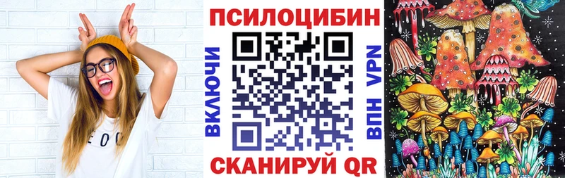 где купить   Калачинск  Псилоцибиновые грибы прущие грибы 